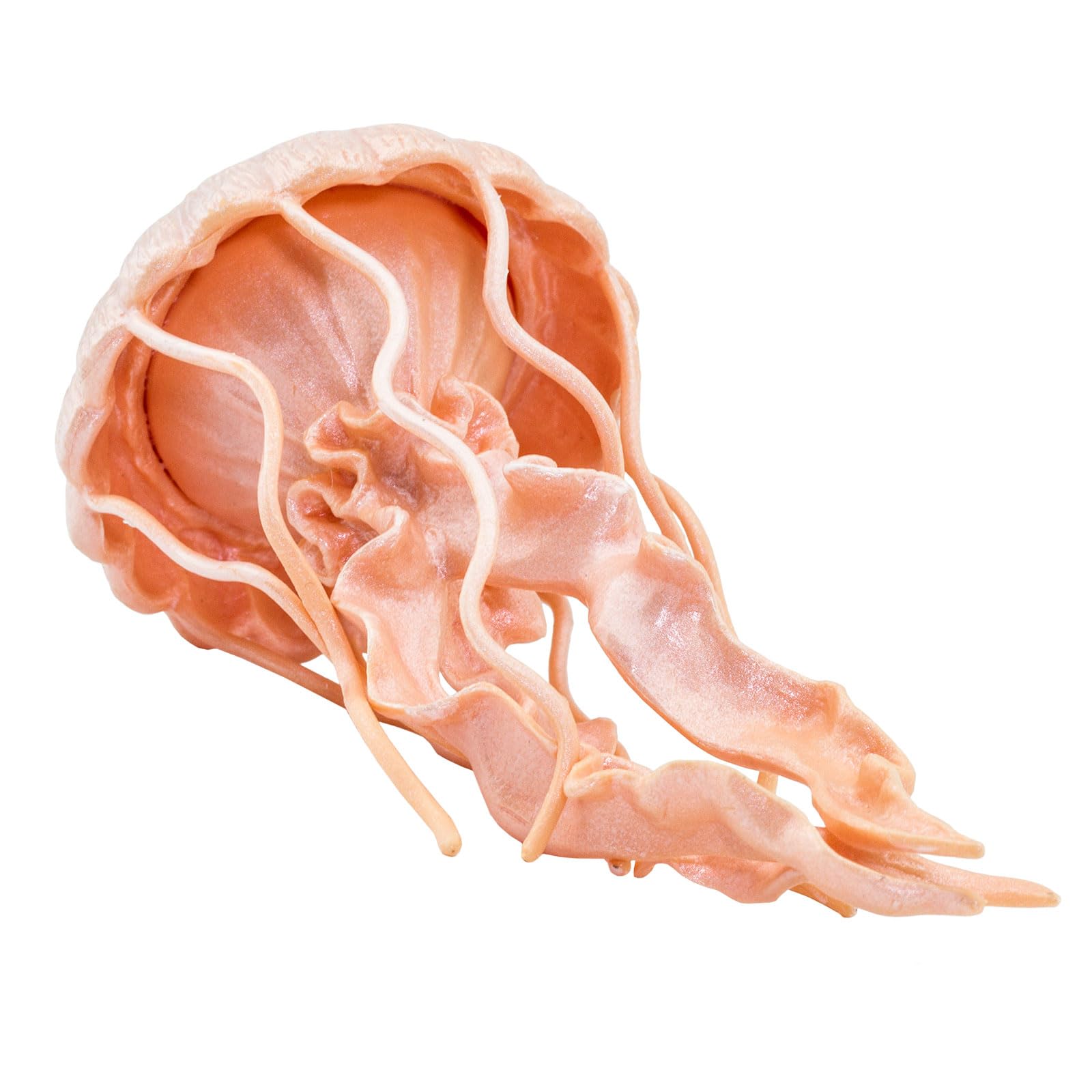 Safari Ltd. Jellyfish Figurine - Detailed 5" Plastic Model Figure - Fun Educational Play Toy for Boys, Girls & Kids Ages 3+