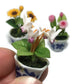 3pc Miniature Flower Clay Dollhouse Fairy Garden Mini Plant Trees Ceramic Paint Furniture Bundles Artificial Flowers Tiny Orchid #085