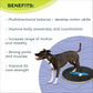 FitPaws® 20" Wobble Board, Dog Balance Training, Rehab + Exercise Equipment