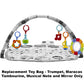 Replacement Toys for Fisher-Price Baby's Bandstand Play Gym - DFP69 ~ Replacement Trumpet, Maracas, Tambourine, Musical Note and Mirror