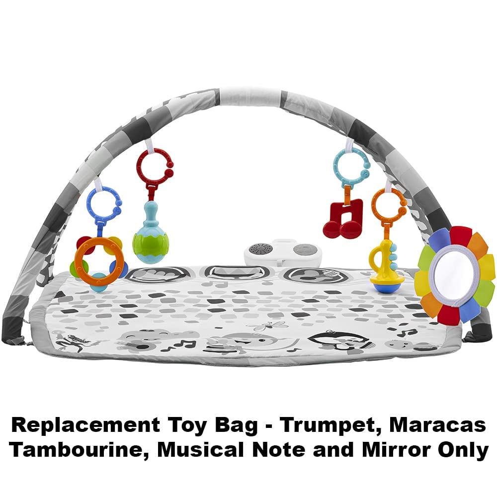 Replacement Toys for Fisher-Price Baby's Bandstand Play Gym - DFP69 ~ Replacement Trumpet, Maracas, Tambourine, Musical Note and Mirror