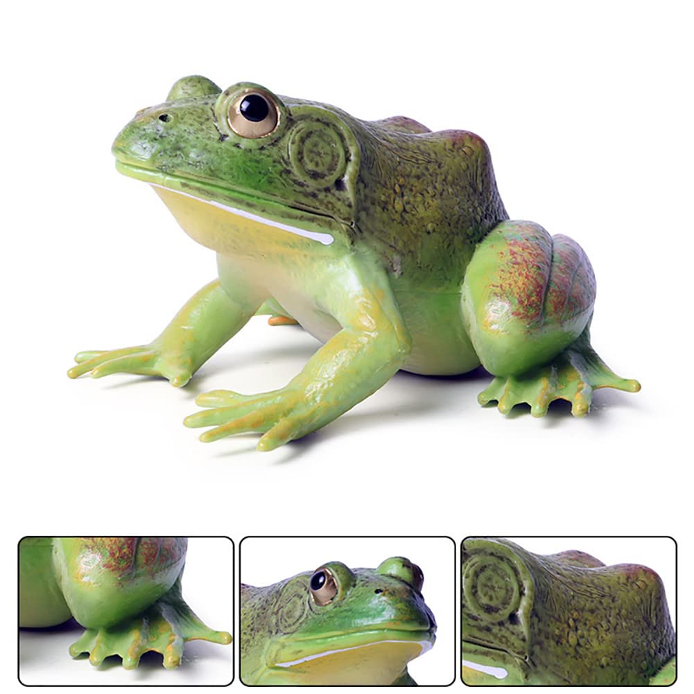 DOYIFUN Simulated Tree Frog Model Figure Toy, Realistic Bullfrog Figurines Collection Playset Science Educational Props