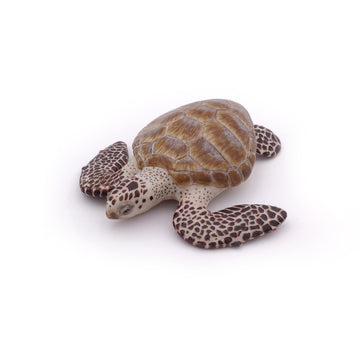 Papo - Realistic Loggerhead Sea Turtle Figure - Ages 3+ - Marine Life Collection - Educational Play Marine Animals - Gift Idea Toy for Girls and Boys