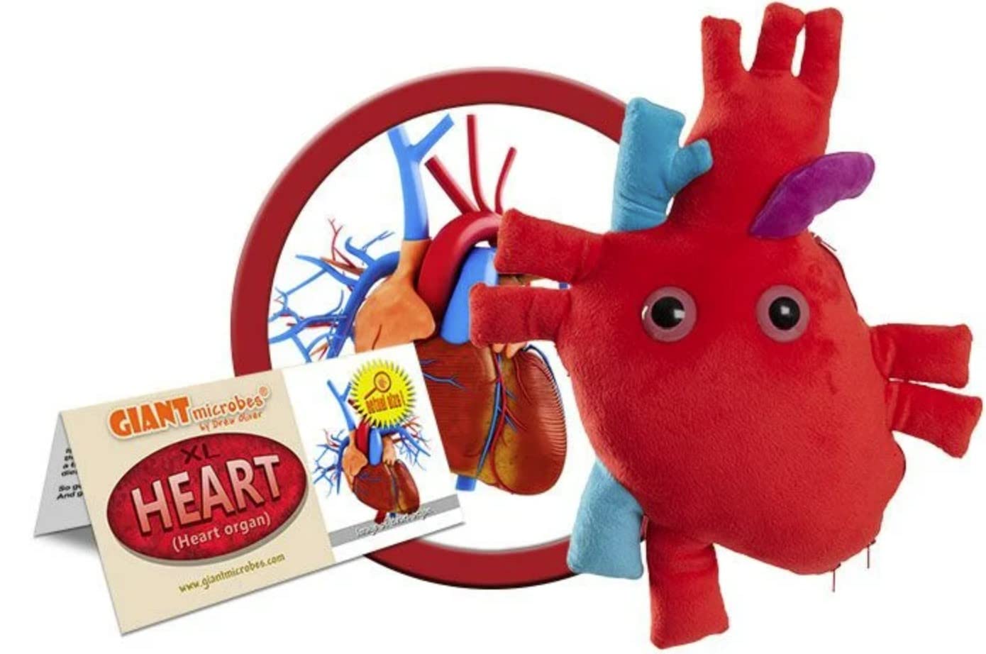 GIANT MICROBES Deluxe 15” Heart Plush, Biology Stuffed Animal, Organ Transplant Gifts, Anatomical Heart, Cardiac Nurse Gift, Cardiology Gift, Surgery