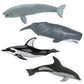 Safari Ltd. Whales and Dolphins Bulk Bag - Set of Miniature Cetacean Toy Figures - 48 Piece Play Toys for Boys, Girls & Kids Age 3+