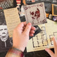 The Deadbolt Mystery Society-The Fall of The House of Asher: Murder Mystery Game - Search for Clues, Solve Puzzles, Eliminate Suspects, Solve Solo Or