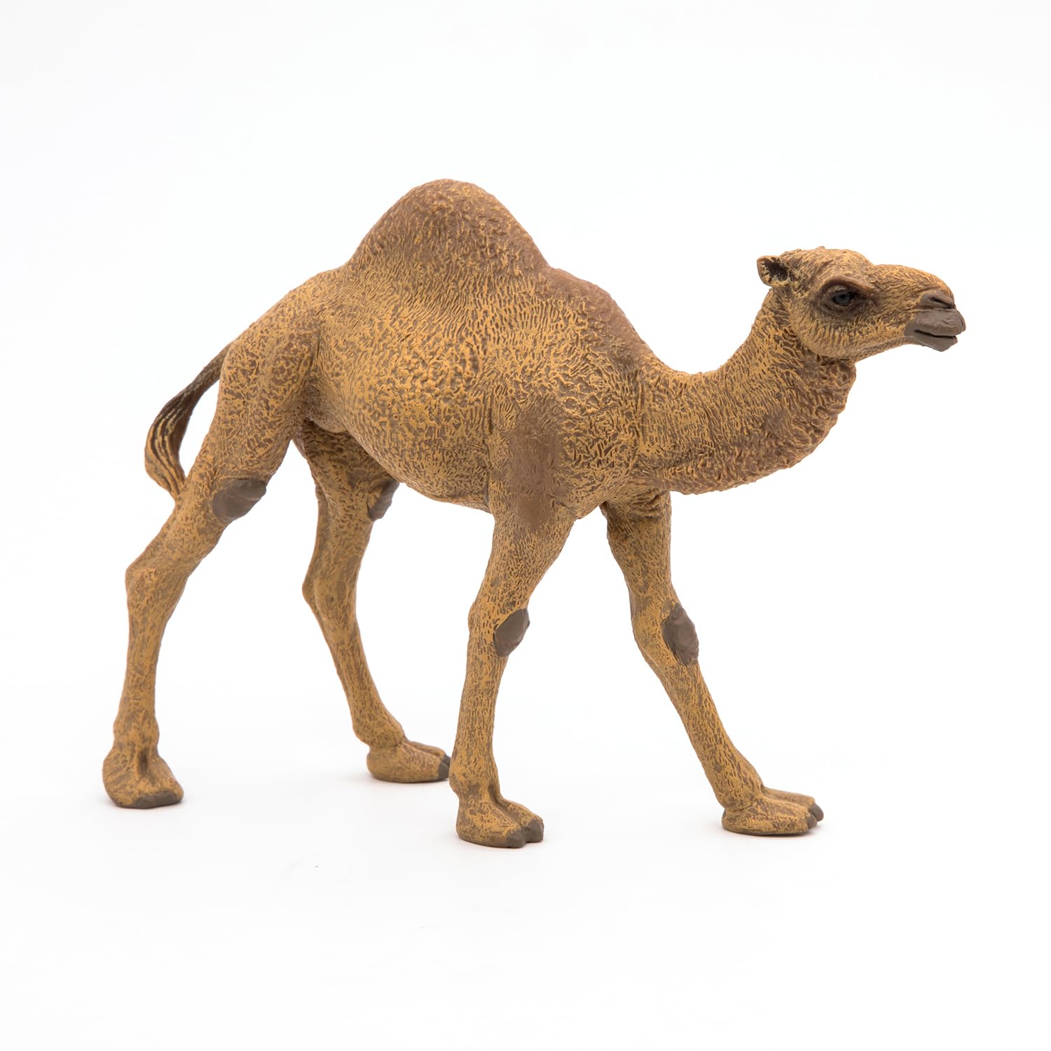 Papo - Realistic Dromedary Figure - Ages 3+ - Wild Life Collection - Educational Play Desert Animals - Gift Idea Toy for Girls and Boys