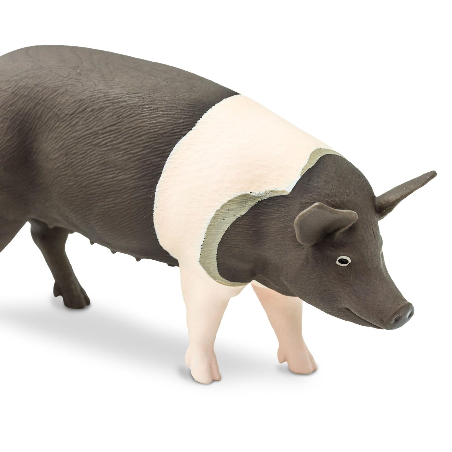 Safari Ltd. Hampshire Pig Figurine - Lifelike 4.25" Model Figure - Educational Toy for Boys, Girls, and Kids Ages 3+