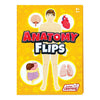 Junior Learning JL647 Anatomy Flips, Multi