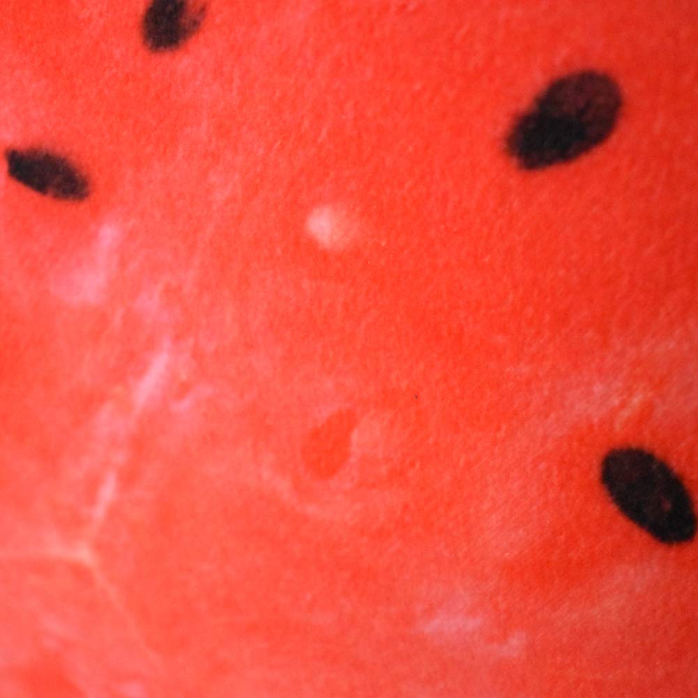 NOVELTY GIANT WWW.NOVELTYGIANT.COM Watermelon Slice Realistic Soft Velvet Foam Pillow