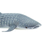 Safari Ltd. Whale Shark Figurine - Detailed 7.25" Aquatic Figure - Educational Toy for Boys, Girls, and Kids Ages 3+