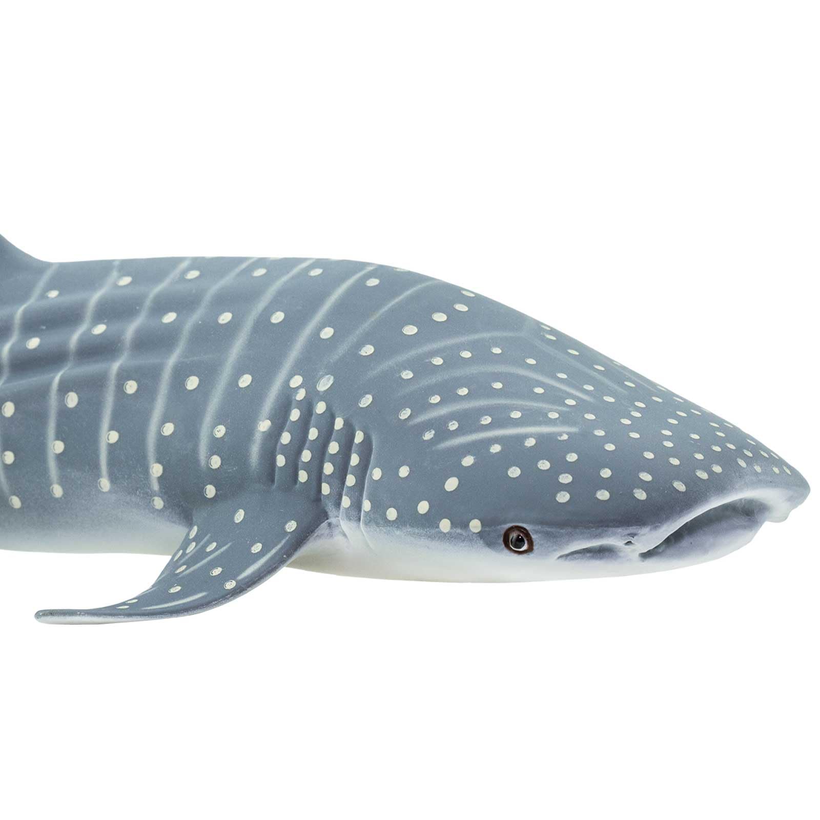 Safari Ltd. Whale Shark Figurine - Detailed 7.25" Aquatic Figure - Educational Toy for Boys, Girls, and Kids Ages 3+