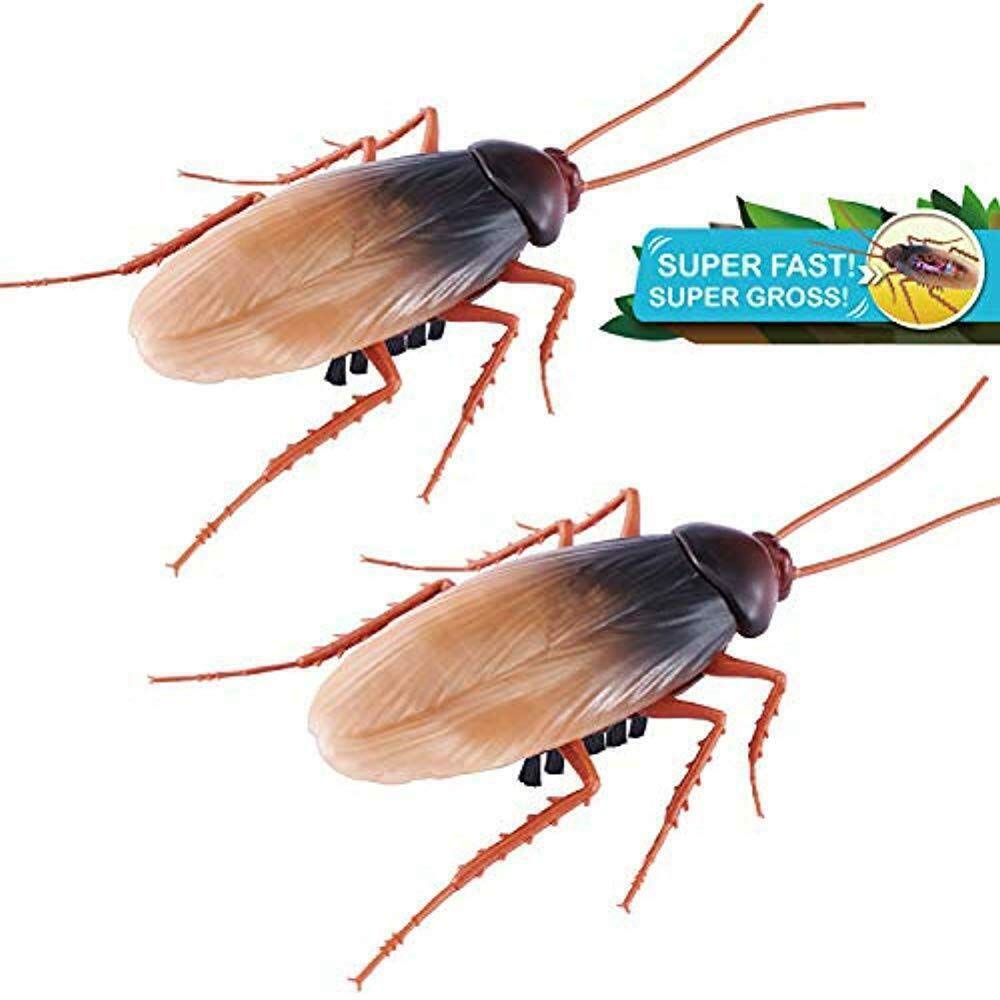 ZURU 36679 ROBO Alive Cockroach, Brown