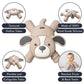 Itzy Ritzy - Ritzy Teether for Molars - Massages Sore Gums & Reaches Back Molars - Silicone Baby Teething Toy with Multiple Textures & Flexible Design