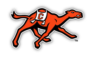 Campbell University Fighting Camels 10 Inch Vinyl Decal Sticker Officially Licensed Collegiate Product