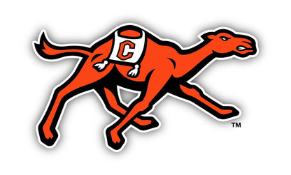 Campbell University Fighting Camels 10 Inch Vinyl Decal Sticker Officially Licensed Collegiate Product