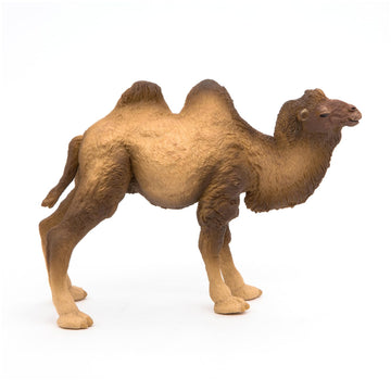 Papo - Realistic Bactrian Camel Figure Toy for Kids - Ages 3+ - Wild Life Collection - Educational Play Exotic Animals - Gift Idea Toy for Girls