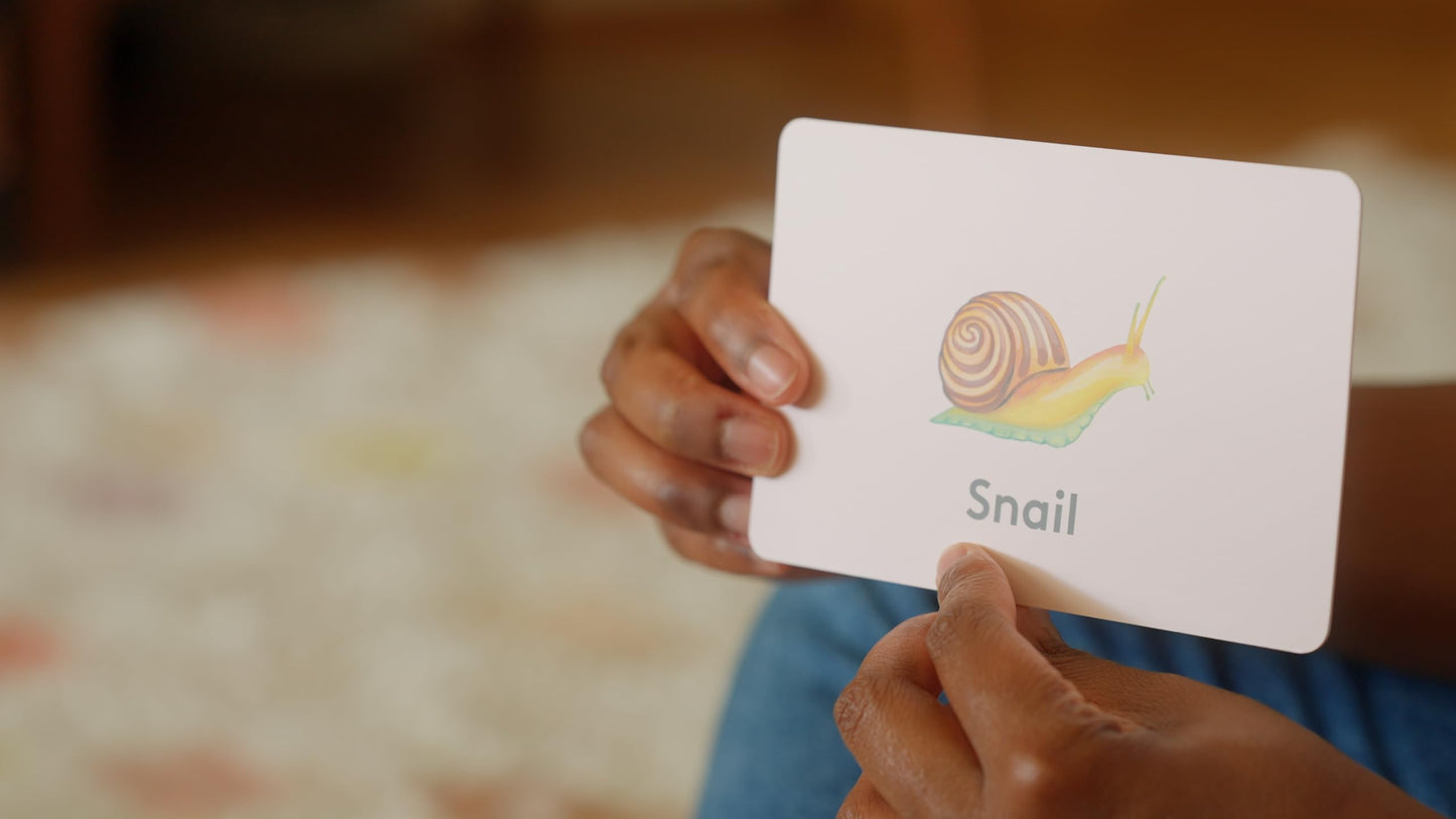 Lovevery, Animal Letter Sound Cards, Flash Cards, Learning to Read