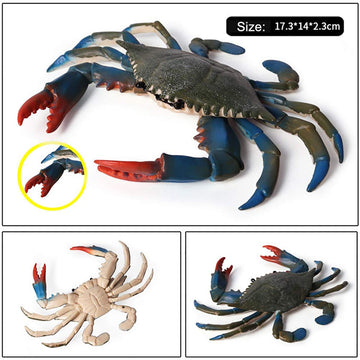 DOYIFUN Realistic Crab Marine Animal Model Toys, 2 Pcs Simulated Sea Life Animals Figurine Collection Sea Creature Science Educational Props Toys