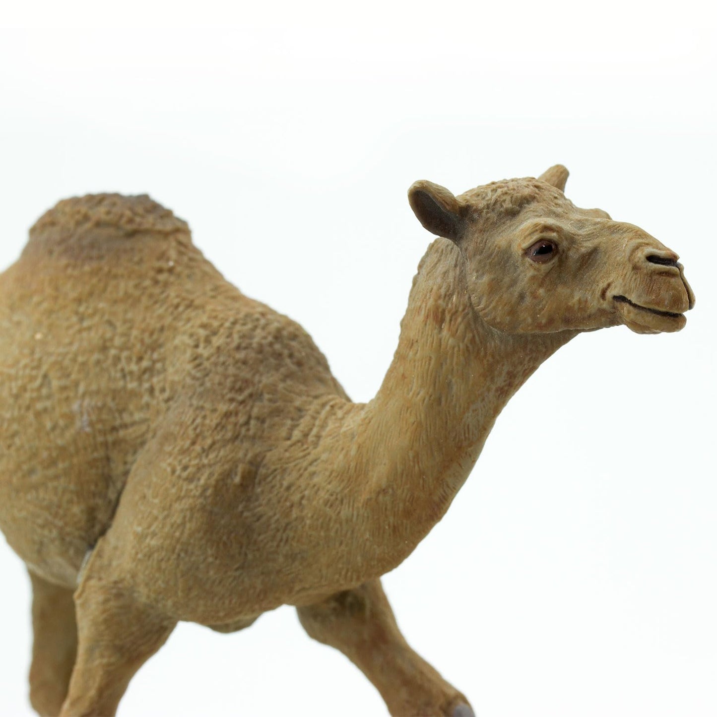 Safari Ltd. Dromedary Camel Figurine - Lifelike, Hand-Painted 5.75" Model Figure - Educational Toy for Boys, Girls & Kids Ages 3+