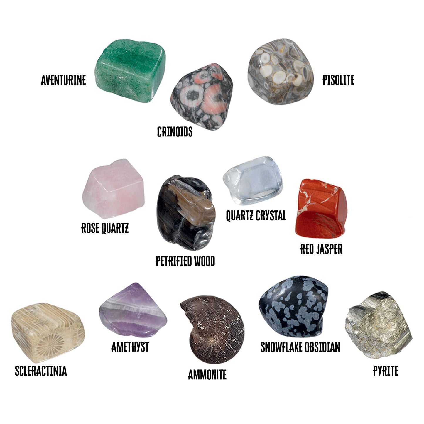 Thames & Kosmos I Dig It! Rocks & Fossils Excavation Gift Set | 24 Excavation Kits w/Mineral & Fossil Specimens | Party Favors, Stocking Stuffer