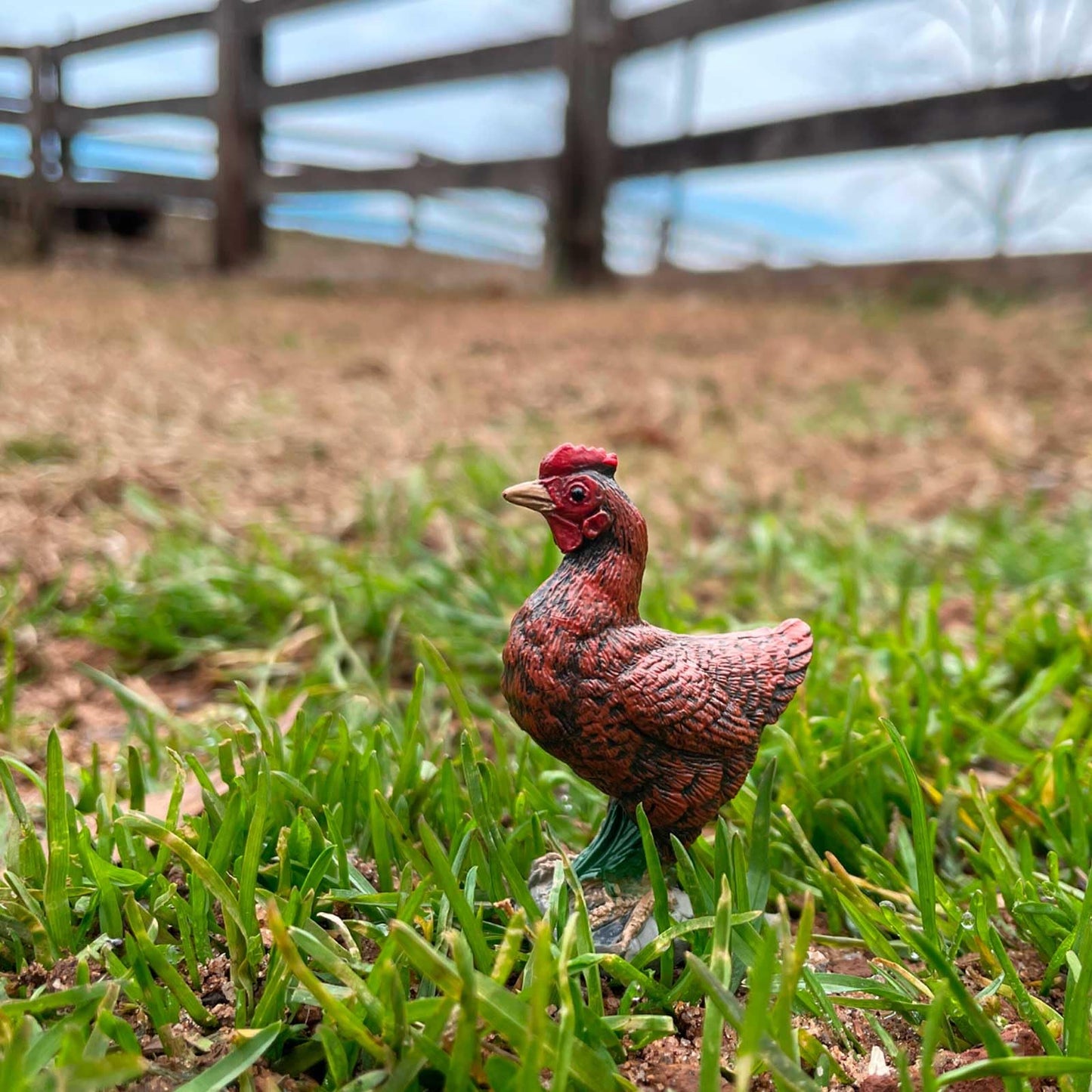 Safari Ltd. Bantam Hen Figurine - Hand-Painted, Realistic 2" Model Figure - Fun Educational Toy for Boys, Girls & Kids Ages 3+