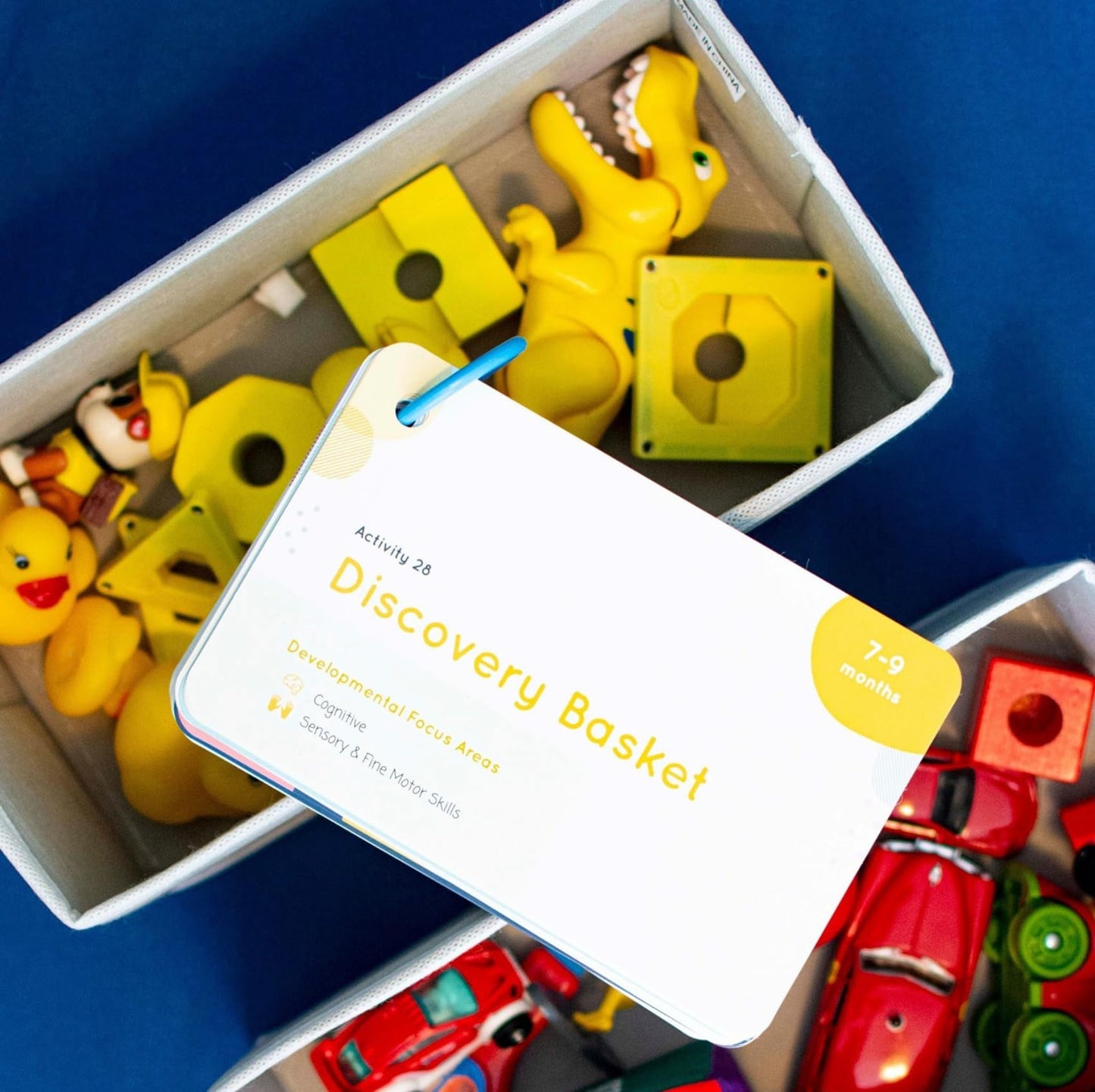 Curious Baby Activity Cards (Tiny Tot Edition)- 7-12 Months Developmentally Focused and Stimulating Playtime Ideas