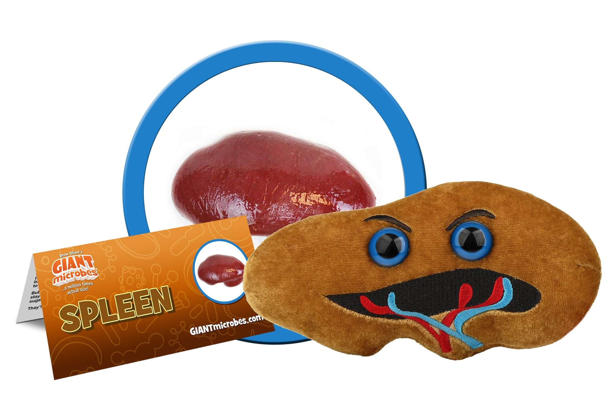 GIANT MICROBES Spleen Plush, Spleen Removal, Surgery Recovery Gifts, Lymphatic System, Get Well Gifts, Organ Plushies, Splenectomy Recovery