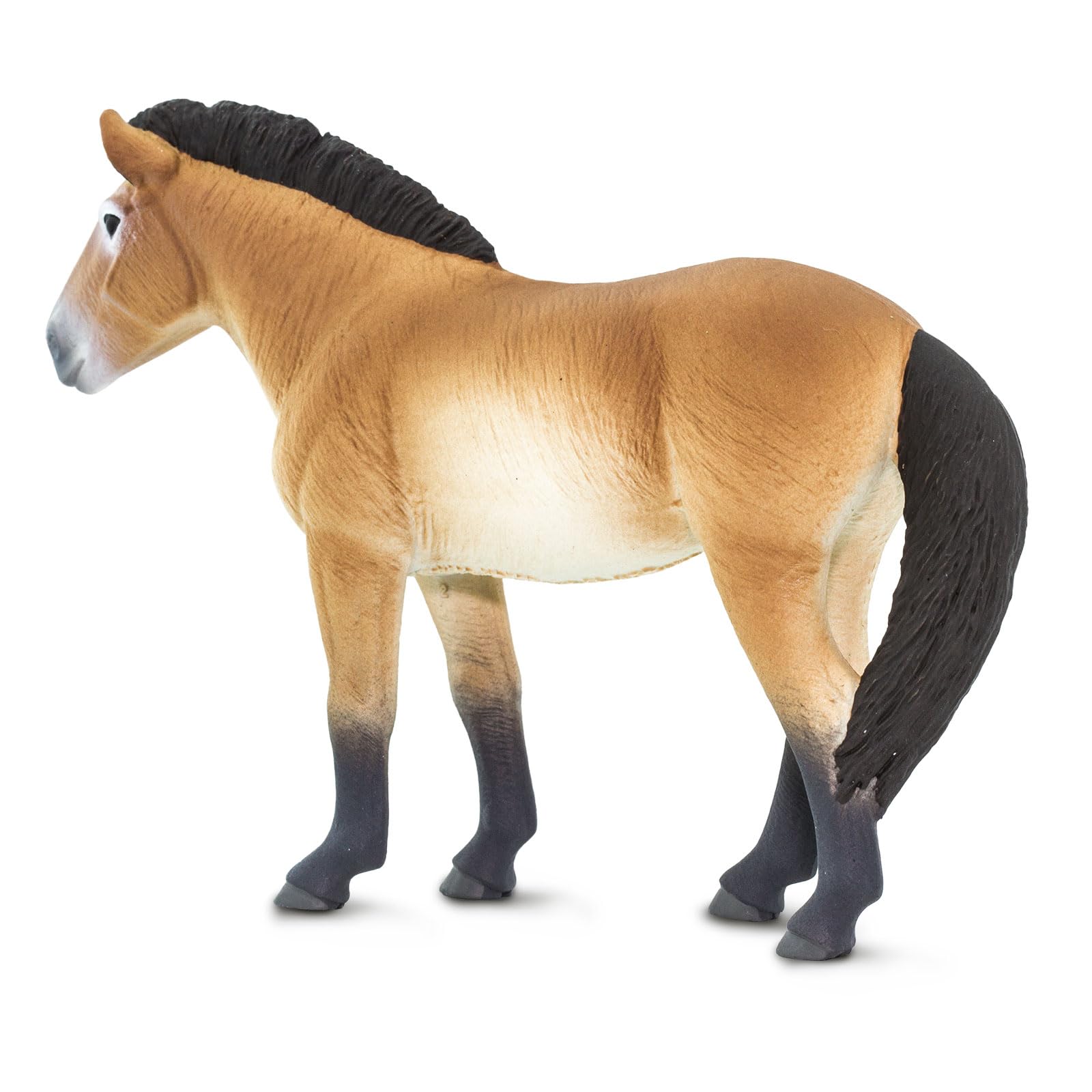 Safari Ltd. Przewalski's Horse Figurine - Lifelike 5" Horse Figure - Educational Toy for Boys, Girls, and Kids Ages 3+
