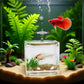 2Pcs Goldfish Charm of Mini Tank with This 1:12 Scale Miniature Accessory Square Fish Tank Realistic Glass Decor for Dollhouse Display Captivating