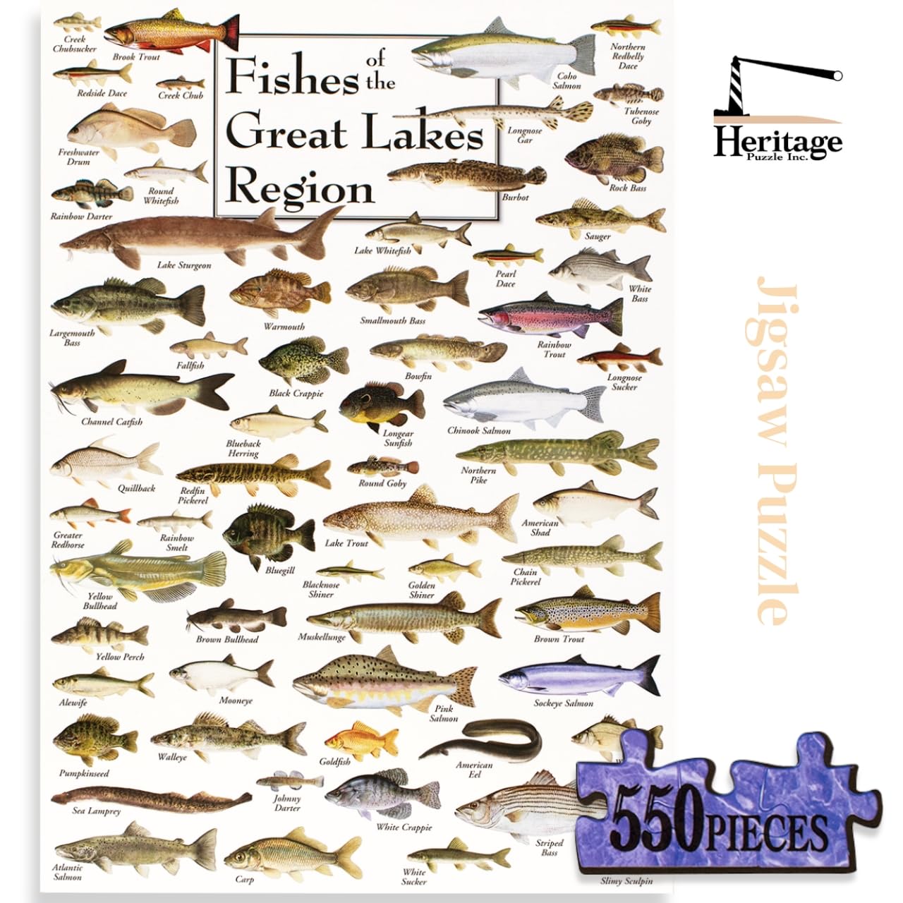 Heritage Puzzle - Fishes of The Great Lakes Region by Duane Raver & Ellen Edmundson 550 Piece Puzzles for Adults - Detailed Nature & Fishing Art