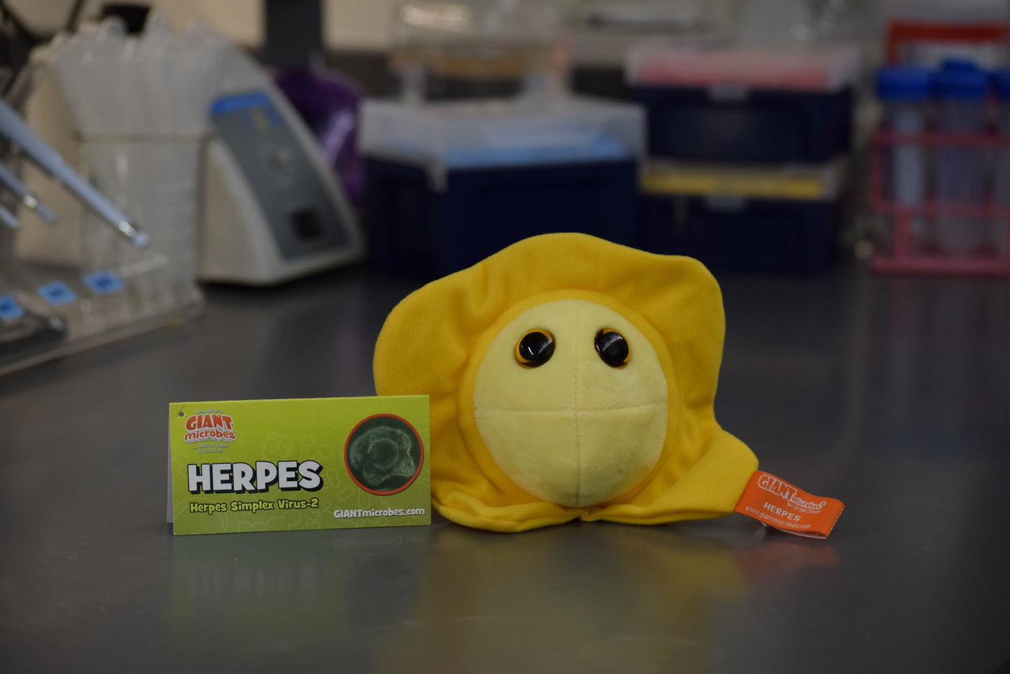 GIANT MICROBES Herpes Plush, STIs, STDs, Medical Gift, OBGYN Gifts for Doctors, Infection Prevention Gift, Infection Control Nurse, Medical Lab