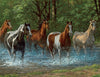 Springbok Summer Creek 36 Piece Dementia Activity Jigsaw Puzzle for Seniors