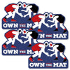 Big Dot of Happiness Own the Mat - Wrestling - Decorations DIY Birthday Party or Wrestler Party Essentials - Set of 20