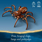 LEGO Harry Potter Aragog in The Forbidden Forest, Spider Toy Playset for Kids, Harry Potter Collectible with Magical Creature and 2 Minifigures, Harry