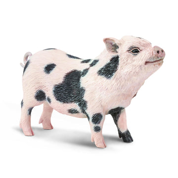 Safari Ltd. Pot-Bellied Pig Figurine - Detailed 5.25" Model Figure - Educational Toy for Boys, Girls, and Kids Ages 18M+