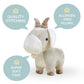 Bellzi Goat- Cute Stuffed Animal Plush Toy - Adorable Soft Goat Toy Plushies and Gifts - Perfect Present for All Ages - Goati