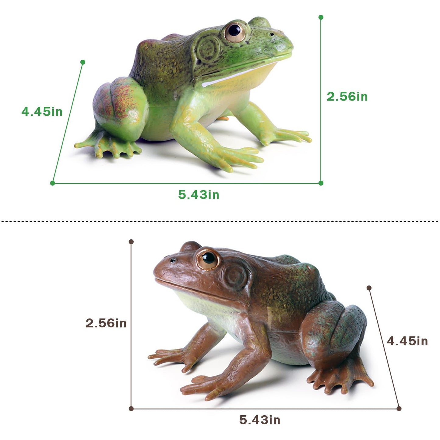 SCAHOW Realistic Tree Frog Figure Plastic Hand Painted Bullfrog Figurine Educational Rubber Animal Model Toys for Kids Children