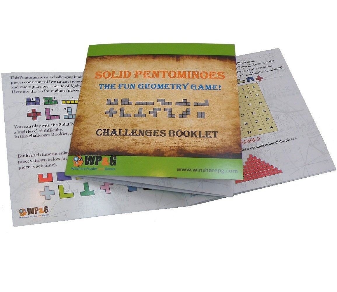 Solid Pentominoes - Wooden Brain Teaser Puzzle