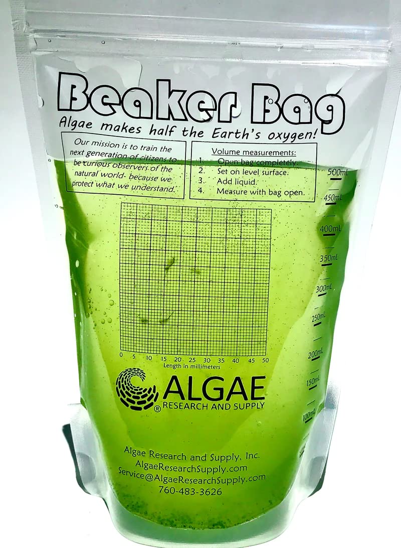 Brainy BRINY'S in A Beaker Bag: Algae and BRINE Shrimp Growing KIT. (K-12, HS, AP-BIO, AP-ES) (Plus Two Ready-to-Go Algae Beads)