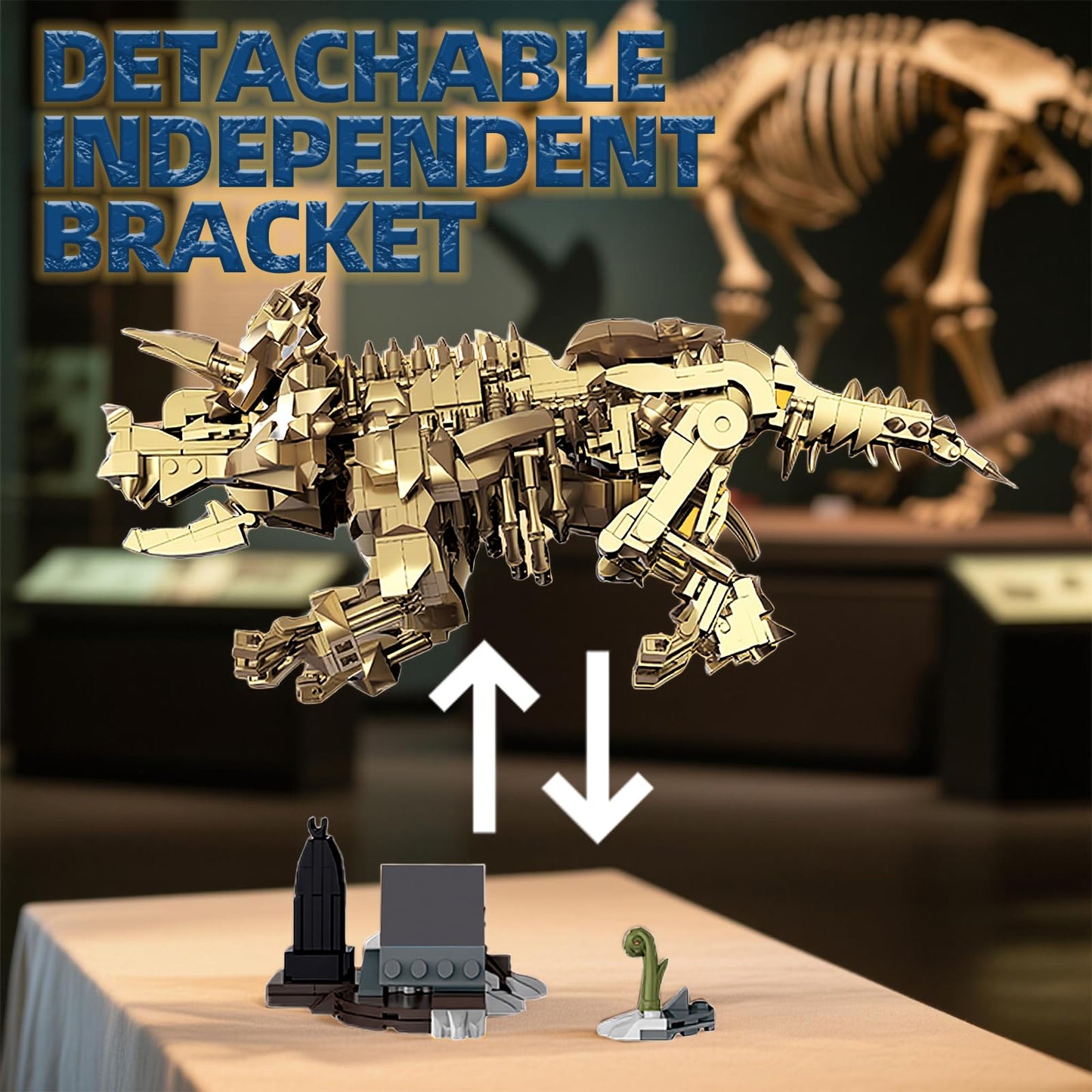 Myth Qholve Triceratops Fossil Skeleton Building Block Set Movable Dinosaur Model with Articulated Joints Educational STEM Construction Toy for Kids