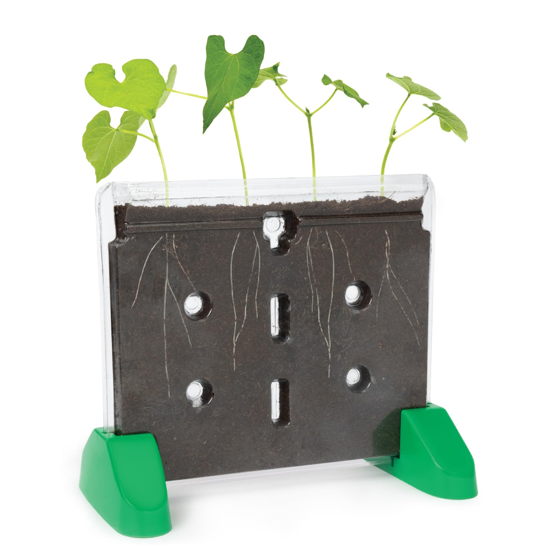 Educational Insights Sprout & Grow Window - See-Through Sprouts Growing Kit, Kids Gardening Set, Kid-Friendly Science Kits, Root Viewer, Gardening Kit