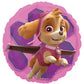 Skye Everest 3rd Birthday Party Supplies Girl Paw Pups on Patrol Balloons