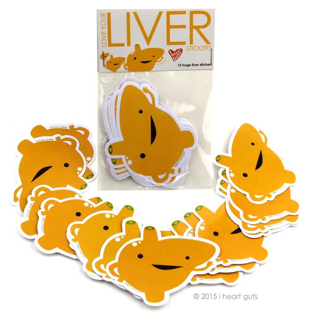I Heart Guts Love Your Liver Stickers - 15 Liver Stickers - Hilarious Liver Anatomy Vinyl Sticker Set for Medical Students, Nurses, and Transplant