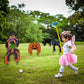 Fun Express Halloween Mini Golf Set for Kids Complete 26-Piece Party Game with 4 Clubs, Balls & Spooky Markers | Indoor Outdoor Halloween Activities