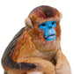 Safari Ltd. Snub Nosed Monkey - Realistic 2.5" Plastic Primate Figure - Educational Toy for Boys, Girls and Kids Ages 3+