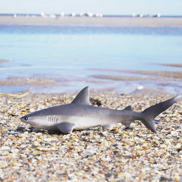 Safari Ltd. Gray Reef Shark Figurine - Detailed 6.25" Plastic Model Figure - Fun Educational Sea Life Play Toy for Boys, Girls & Kids Ages 3+