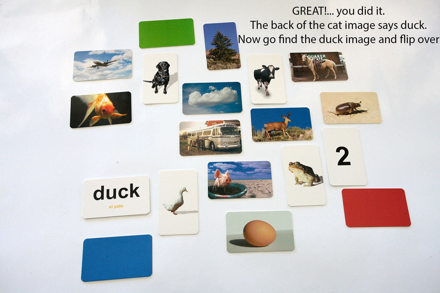 Flash of Brilliance First Word Game One-Syllable Words for Early Readers