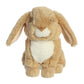 Aurora® Responsibly Made Eco Nation™ Lop-Eared Rabbit Tan Stuffed Animal - Ideal for Playtime Adventures - Perfect for Birthdays or Just Because