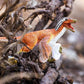 Safari Ltd. Feathered Velociraptor Dinosaur Toy - Realistic 8.5" Plastic Raptor Figure - Dinosaur Toys for Kids 3-5, Boys and Girls